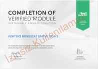 HIGG FLSM (Facility Social and Labor Module)